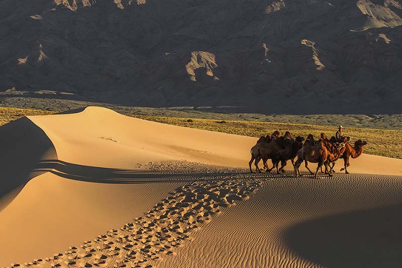 riding tours mongolia 